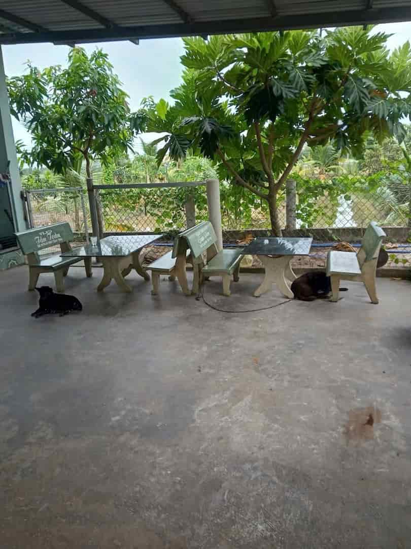 3500m2 đất vườn xã Hòa Khánh Tây, Đức Hòa giá 3,8 tỷ