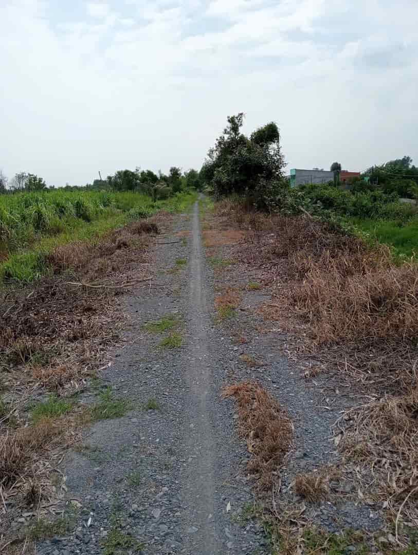 1500m2 đất vườn xã Lương Hòa, Bến Lức, Long An giá 2,4 tỷ