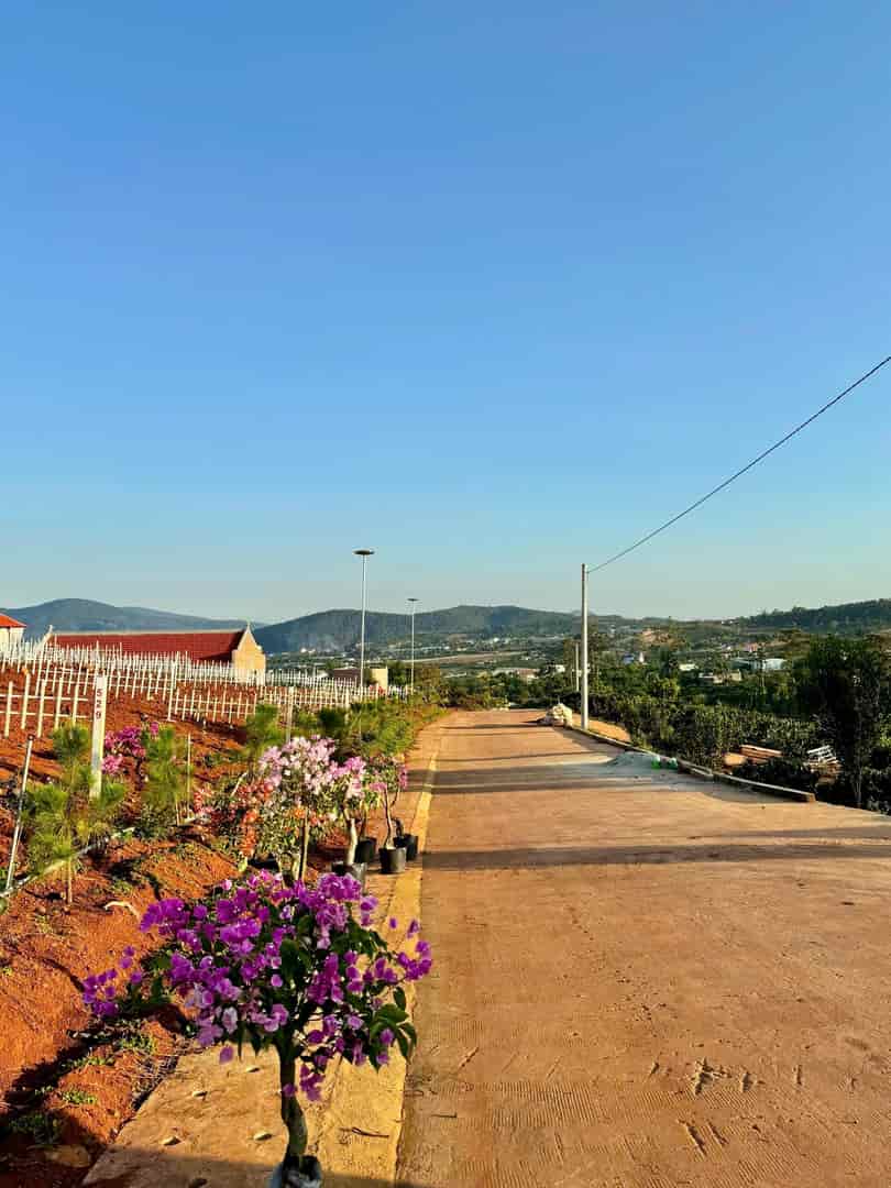 Siêu Phẩm 2 Mặt Tiền 46m TT Nam Ban View Đỉnh Ngộp Ngân Hàng Cần Bán