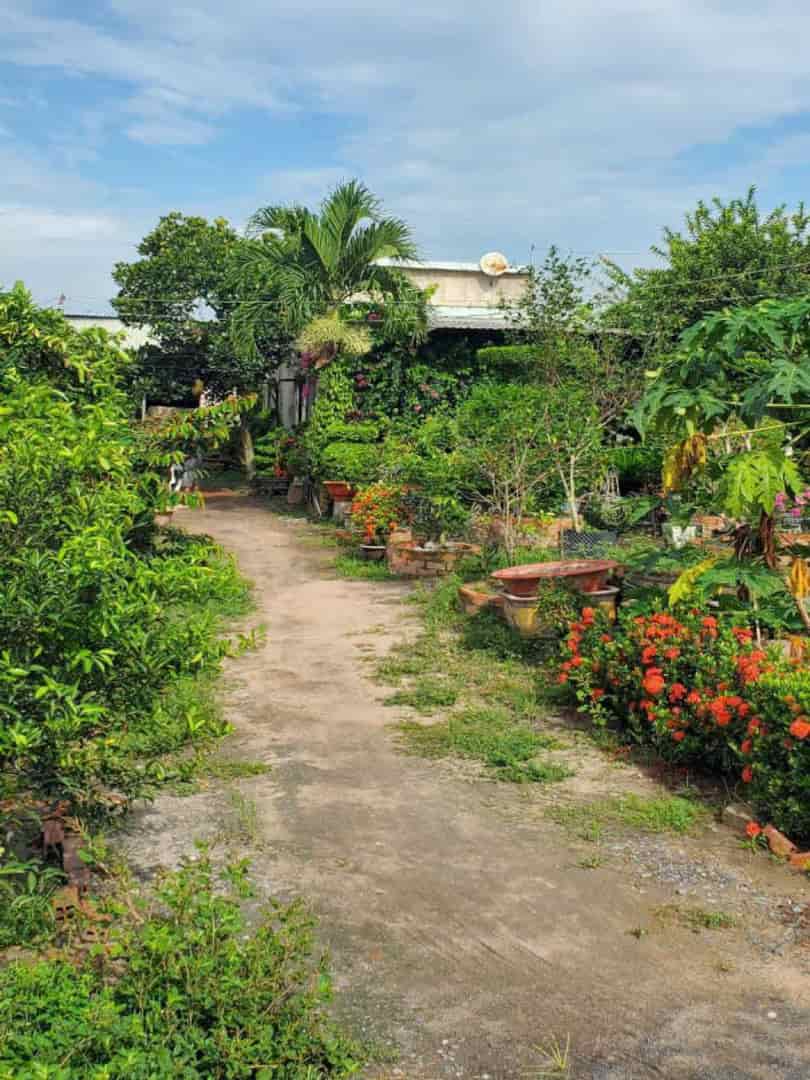 Đất Vườn HXT 722m2, Nở hậu – Xuân Thới Thượng 2 HM