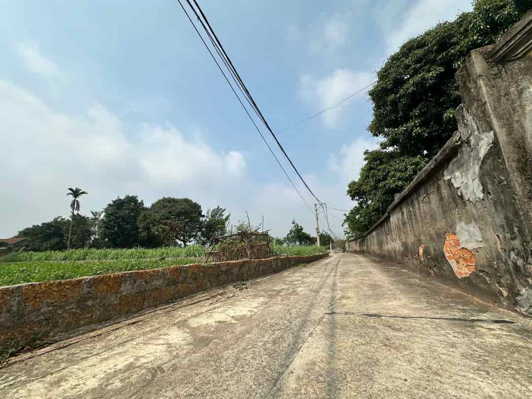 Chính Chủ Gửi Bán Lô Đất Đẹp Tại Yên Thái, Đông Yên, Quốc Oai, Hà Nội