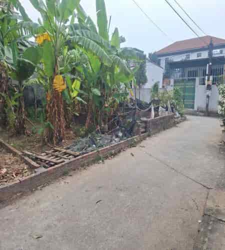 Chính chủ cần bán lô đất 52m tại Ninh Nội, Xã Tân Dân, Sóc Sơn, Hà Nội