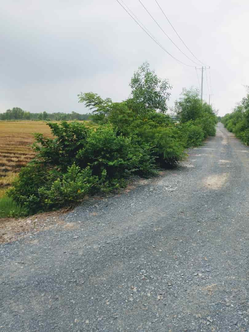 Cơ Hội Vàng, 103.000m2 Đất Nông Nghiệp Đức Hòa Long An Đường DT823 100 Tỷ
