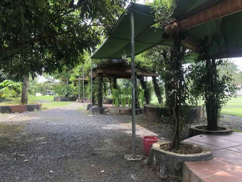 Bán 3600m2 đất + nhà + sân vườn, hẻm 10m Nguyễn Hữu Trí, Chợ Đệm, 60x60m, 65 tỷ