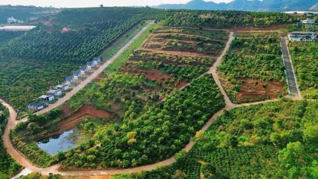 Chính Chủ Bán 297m2 Thổ Cư 160m2 Đất Tại Xã Mê Linh, Huyện Lâm Hà, Lâm Đồng.