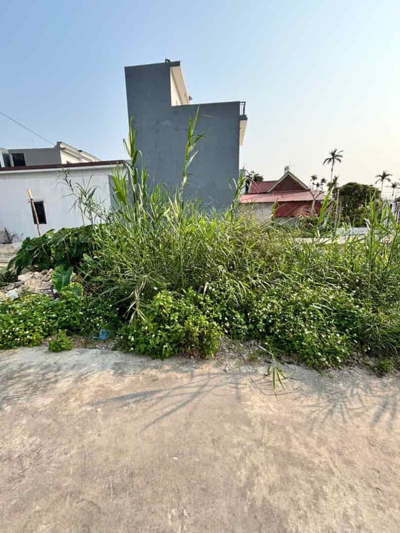 Chính Chủ Bán Đất, Ô Tô Vào Tận Đất Tại khu vực Hy Tái, Hồng Thái, An Dương. Sổ Đỏ Chính Chủ