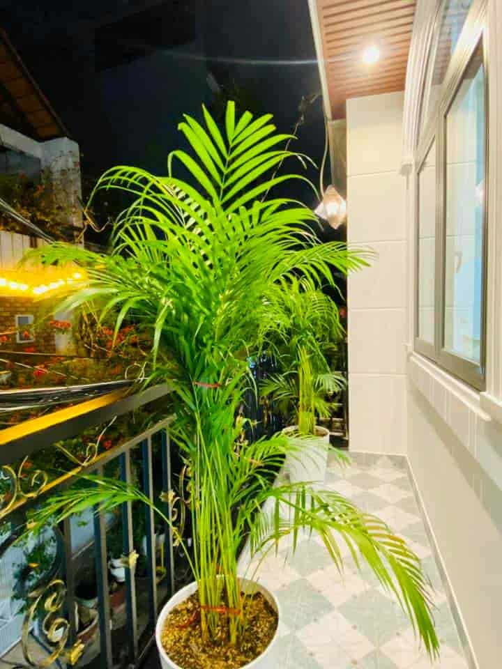 Cần tiền bán gấp căn nhà đường hẻm 1/ Nguyễn Văn Lượng, Phường 17, Quận Gò Vấp. Giá 2tỷ440. SHR