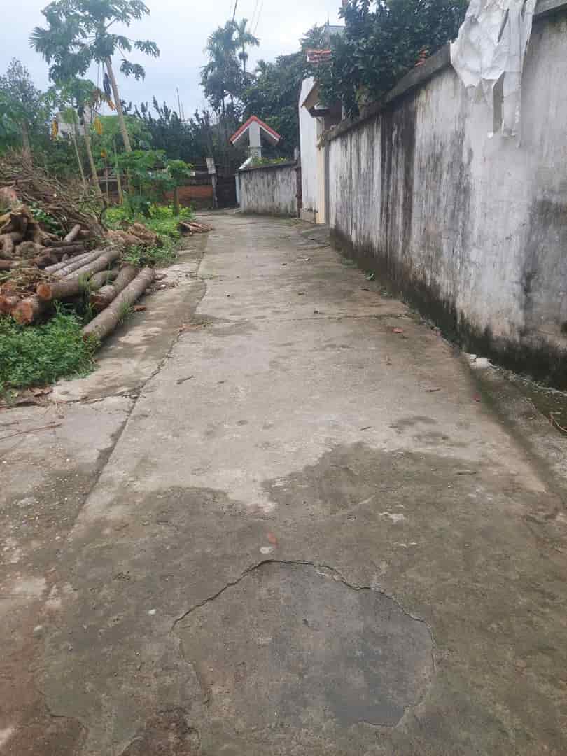 ĐẤT ĐẸP - GIÁ TỐT - Vị Trí Đắc Địa Tại Xã Võng Xuyên, Huyện Phúc Thọ, TPHN