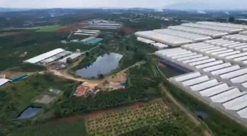 CẦN BÁN TRANG TRAI HEO, CAPHE - GIÁ TỐT - Vị Trí Đắc Địa Tại  Xã Phúc Thọ, Huyện Lâm Hà, Lâm Đồng