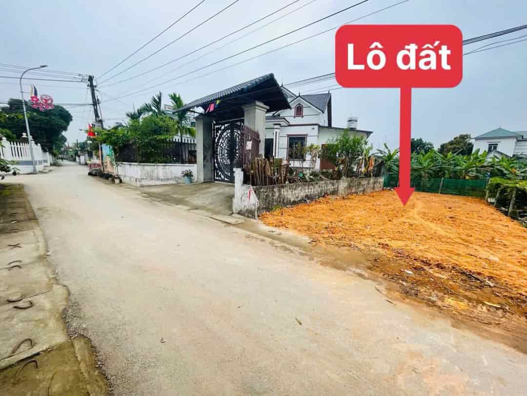 Tại Thôn Đồn, Xã Kim Long, Huyện Tam Dương, Vĩnh Phúc