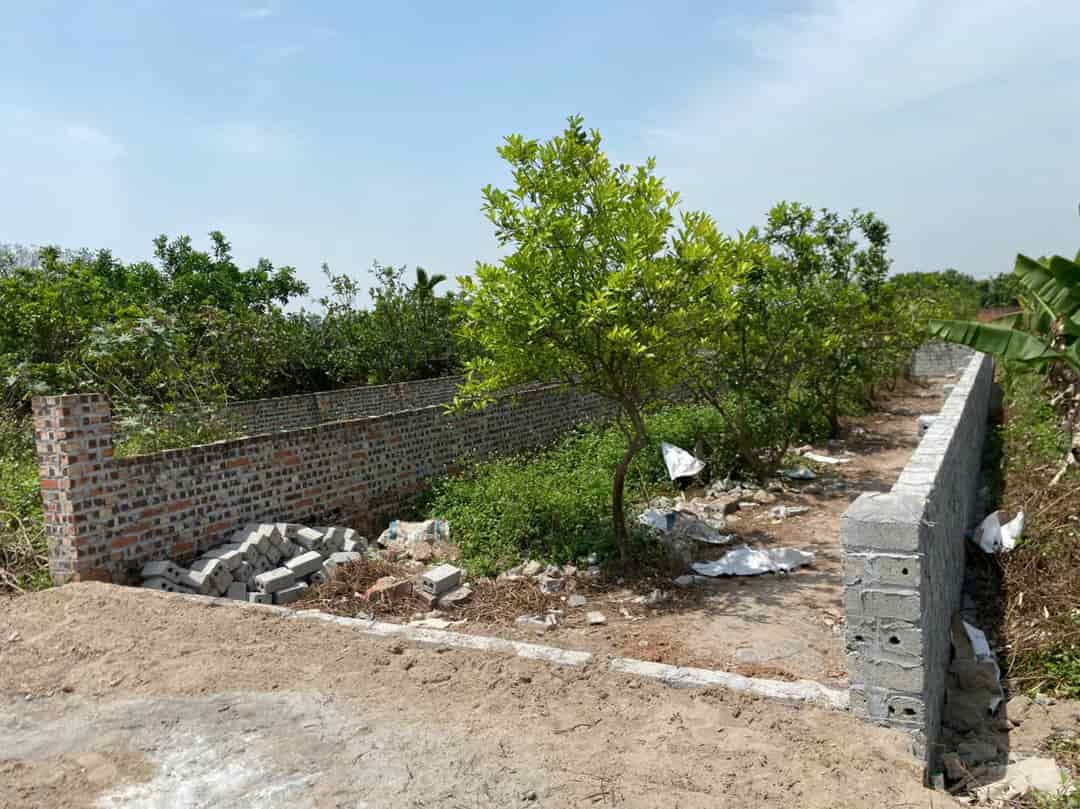 ĐẤT ĐẸP GIÁ TỐT Vị Trí Đắc Địa Tại Sài Sơn Quốc Oai TP Hà Nội