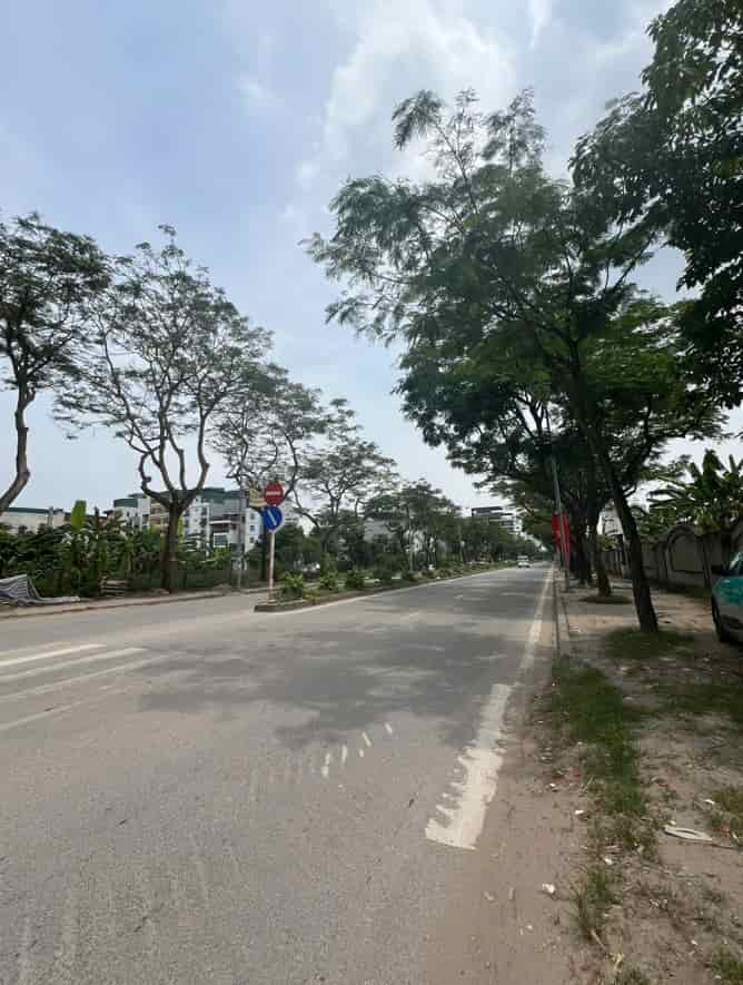 Phải Thật Nhanh Sở Hữu Mảnh đất và căn nhà này