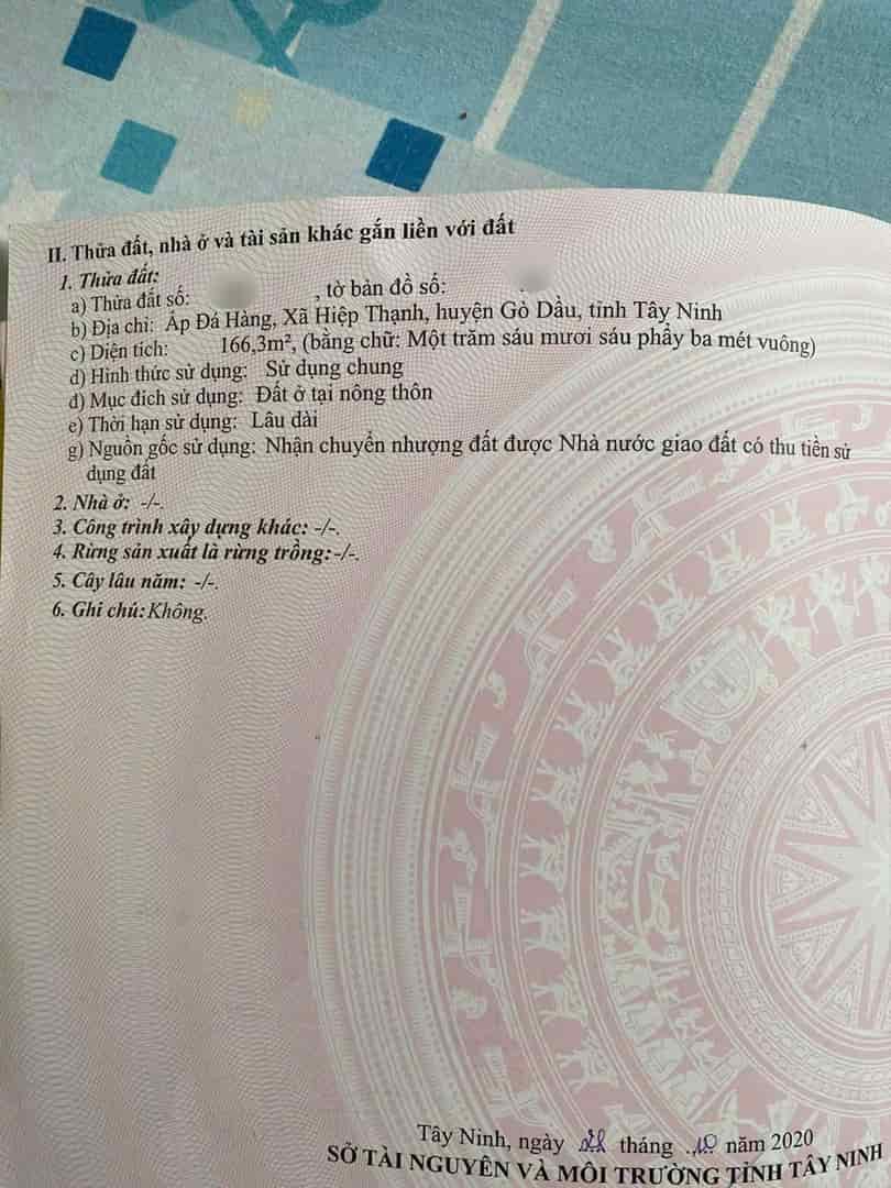 Đất đẹp, giá tốt, chính chủ bán gấp lô đất mặt tiền đường Xã Hiệp Thạnh, Gò Dầu, Tây Ninh