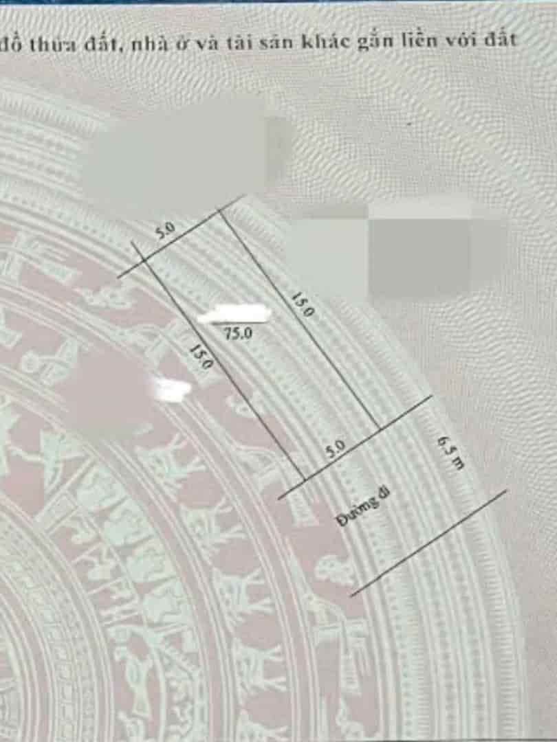 Đất đấu giá tại Quảng Bị, Chương Mỹ, Hà Nội với diện tích 75m², giá đầu tư tốt nhất