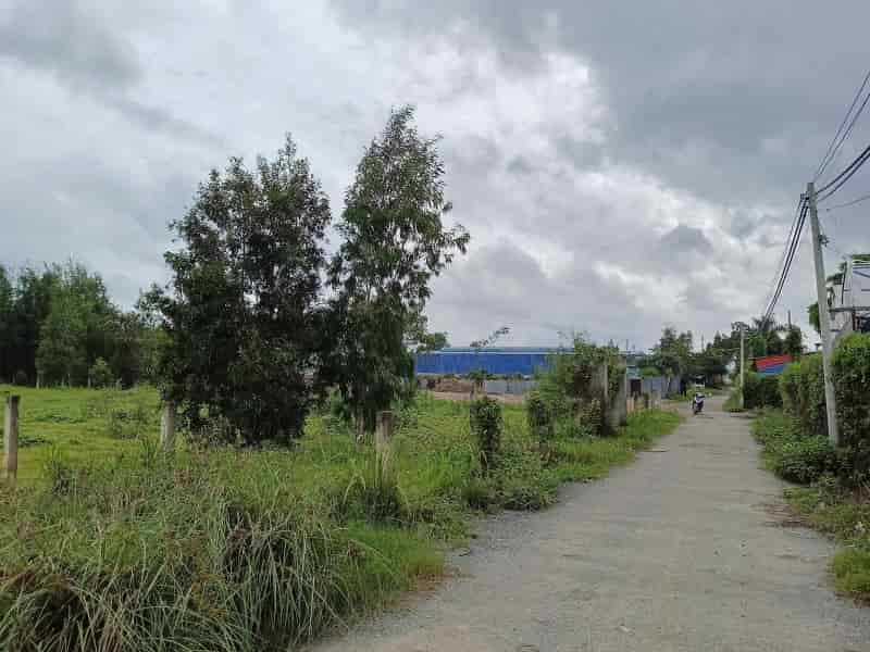 Bán lô đất vườn 1000m2, giá chỉ hơn 5 triệu, vĩnh lộc b, bình chánh, gọi cho em xem đất