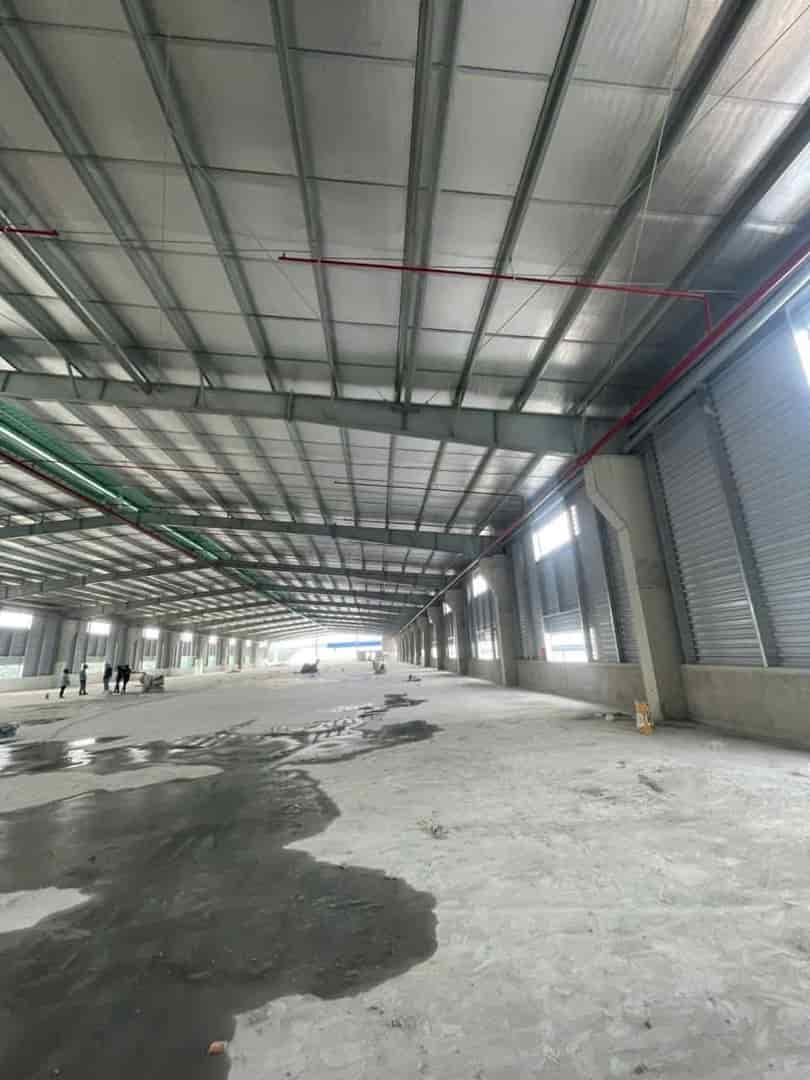 Cho Thuê Nhà Xưởng 2.440m² Tại Thuận An – Bình Dương | PCCC Tự Động, Trạm Điện 400KVA, Giá Chỉ 160 Triệu/Tháng