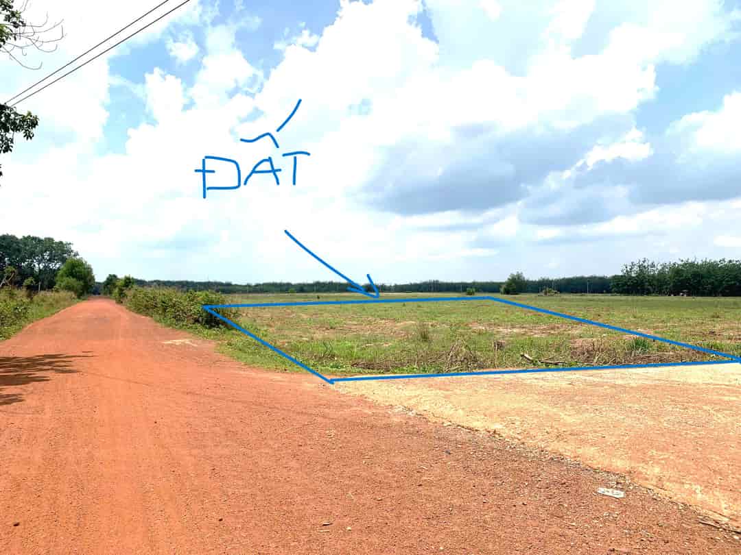 BÁN ĐẤT THỔ CƯ 1.400M2 SẴN 500M THỔ LỘ 24M LIÊN HUYỆN NGAY QL13 BÁN ĐÚNG 198 TRIỆU/S