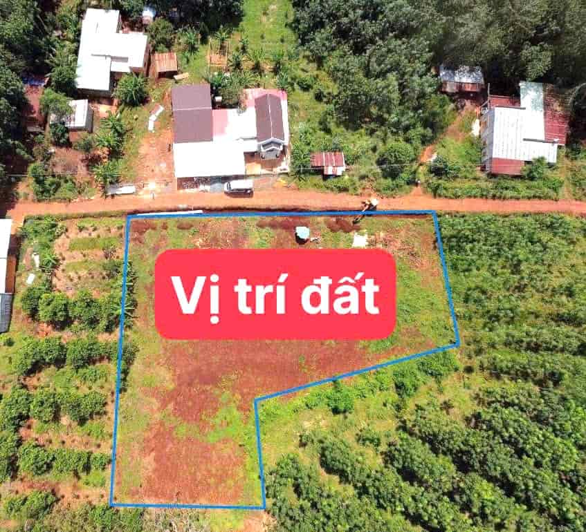 BÁN ĐẤT THỔ CƯ 1.023M2 SẴN 400M THỔ LỘ 18M XE HƠI NGAY SÂN BAY, KHU DU LỊCH 235 TRIỆU/S