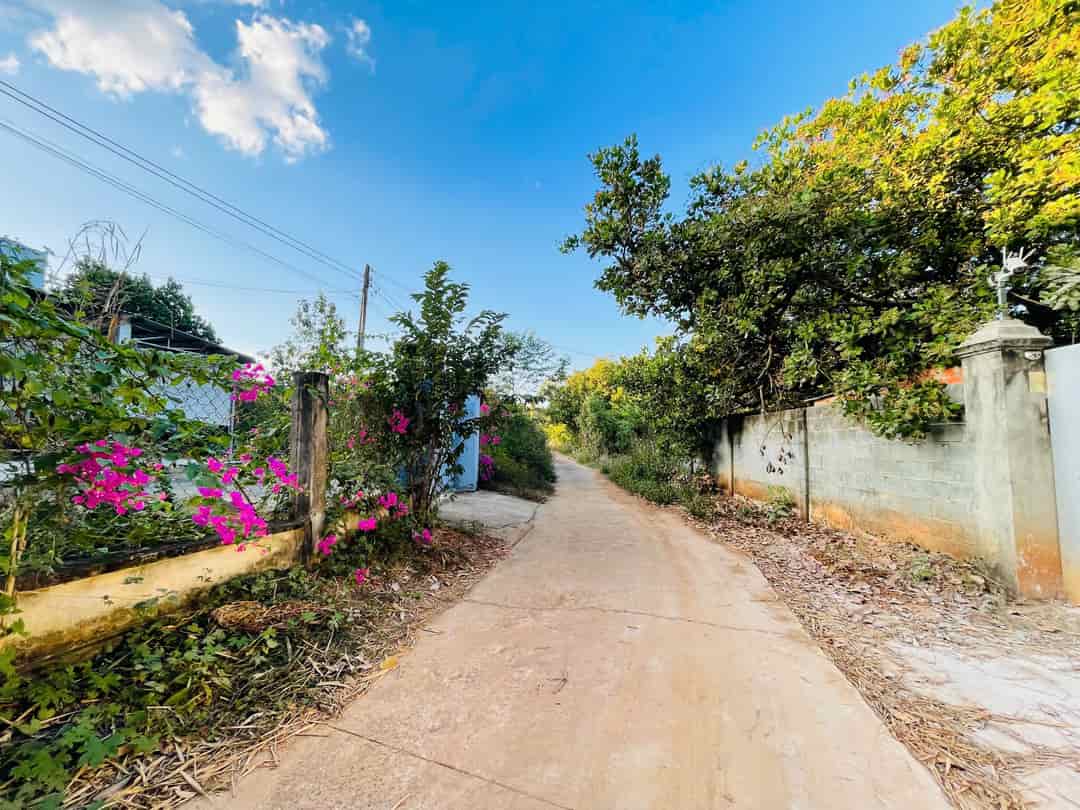CHÍNH CHỦ BÁN GẤP LÔ GÓC 2MT ĐẤT TX, 319M², NGAY CHỢ, RA QL13 CHỈ 5 PHÚT 390TR