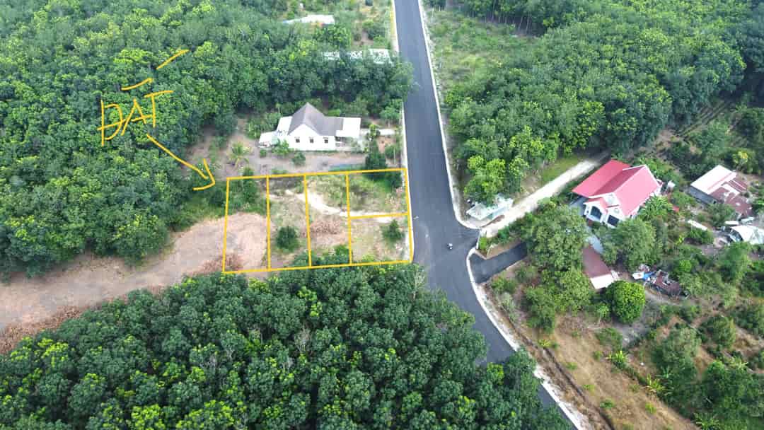 3 Lô Mặt Tiền Chợ Minh Lập – Có 300m² Thổ Cư – Giá Chỉ 365 Triệu