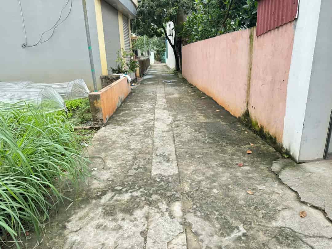 BÁN ĐẤT ĐẸP SÓC SƠN, THÁI LAI, MINH TRÍ, VỊ TRÍ VÀNG CHO NHÀ ĐẦU TƯ
