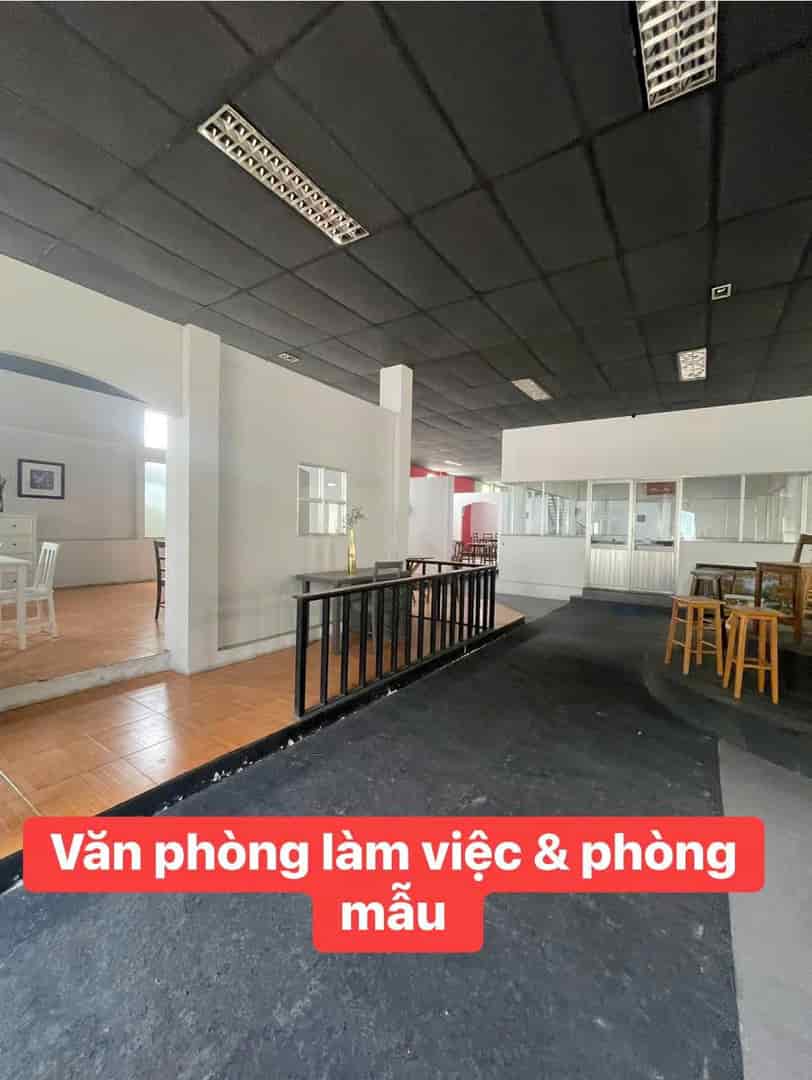 Kho Xưởng Gỗ Xuất Khẩu Full Máy Móc – Bình Dương 3ha – Giá Tốt Nhất Khu Vực