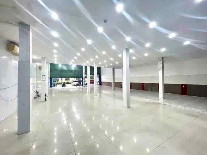 Cho Thuê Mặt Bằng Mặt Tiền Đường Yersin, Thủ Dầu Một, Bình Dương – Diện Tích Lớn 1100m², Giá Thuê 60tr
