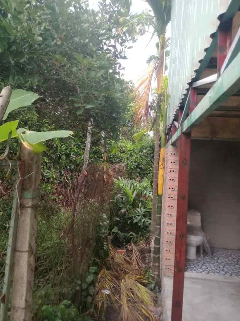 Cho Thuê Đất Sân Vườn Tân An, Thủ Dầu Một, Bình Dương, Diện Tích 2.000m², Giá 36 Triệu/Tháng