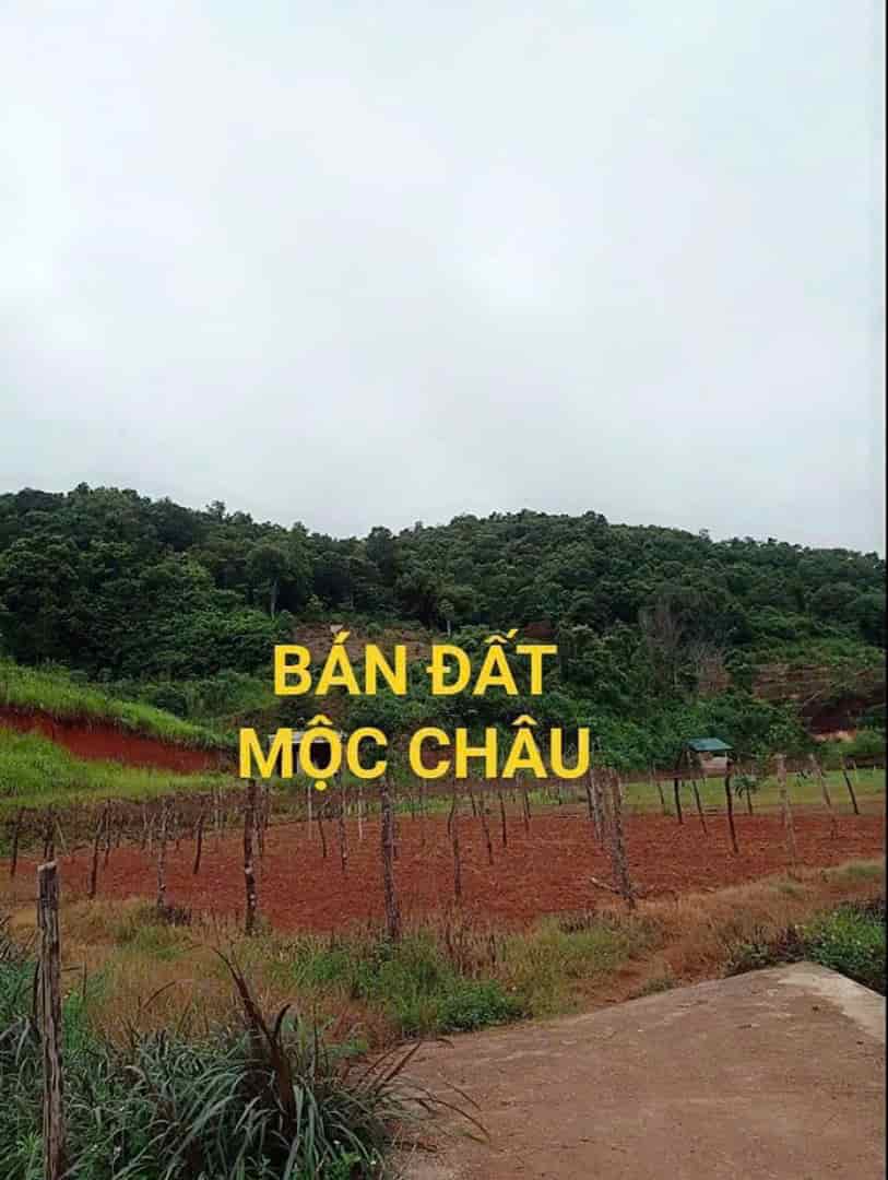 BÁN ĐẤT HOMESTAY, NGHỈ DƯỠNG TẠI  MỘC CHÂU VỊ TRÍ VÀNG, GIÁ SIÊU TỐT