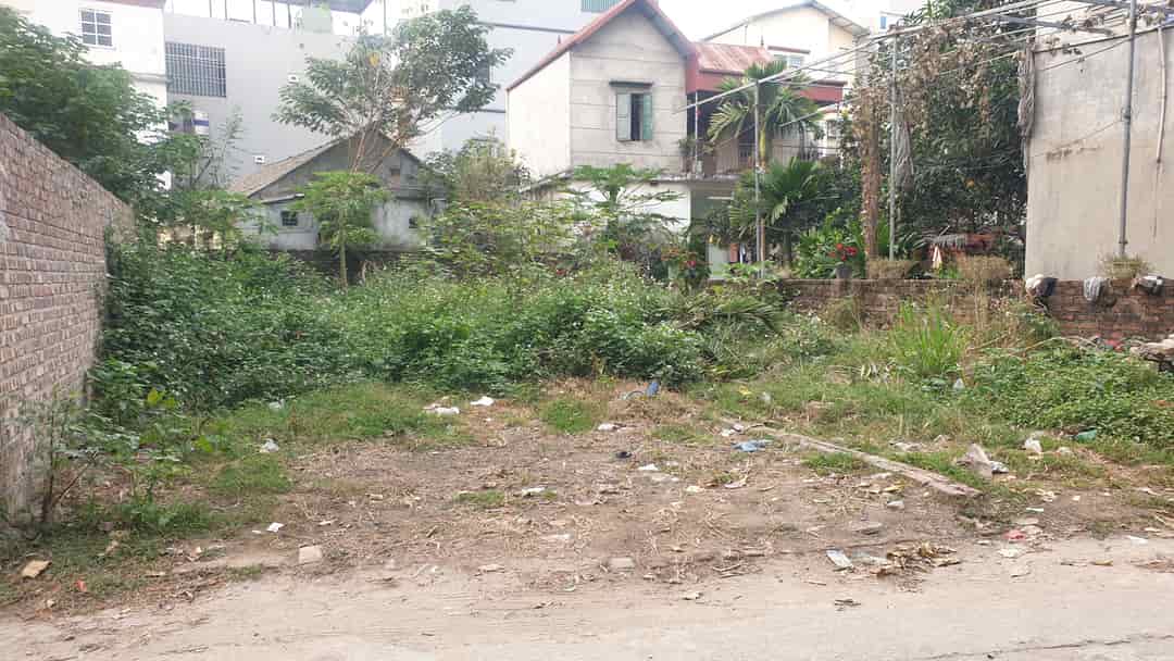 Đất đẹp Tân Lập gần Vinhome Đan Phượng 61m2 Ô tô qua hơn 6 tỷ