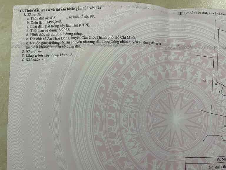 Chính chủ cần bán 2 thửa đất liền nhau, đất vuông đẹp, sổ hồng chính chủ An Thới Đông, Cần Giờ, HCM