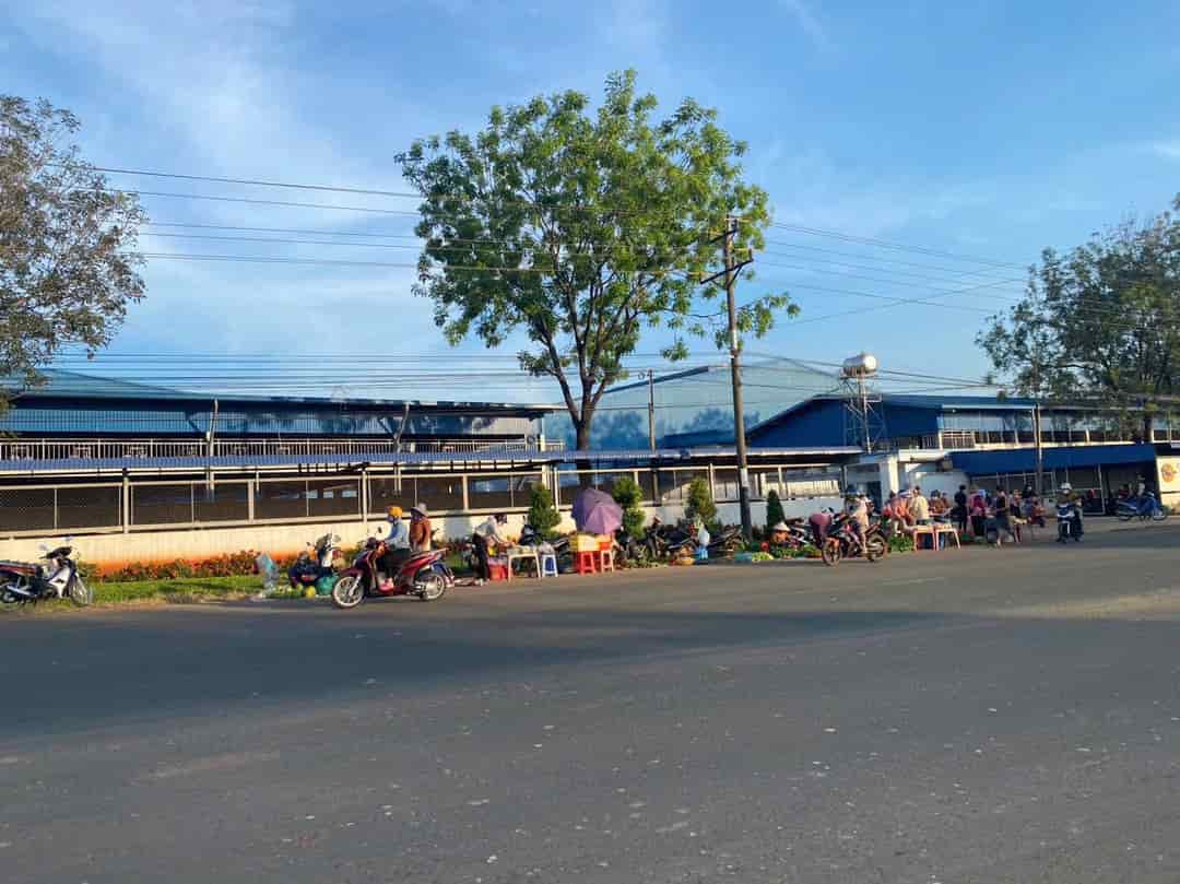 CẦN BÁN MT ĐƯỜNG NHỰA 1124M2 ĐẤT SHR NGAY KHU CÔNG NGHIỆP ĐÔNG CÔNG NHÂN. GIÁ 890 TR