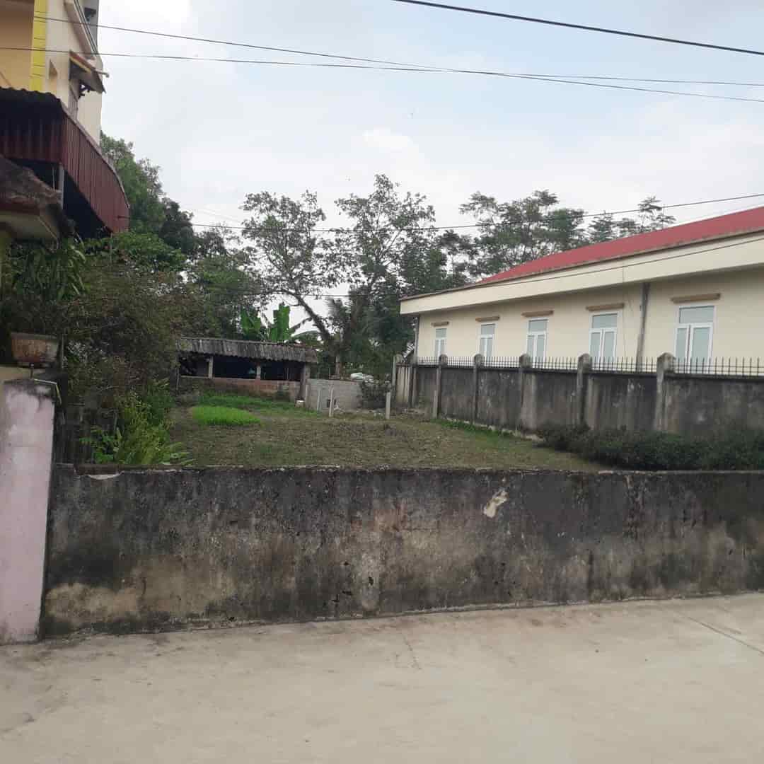 BÁN GẤP LÔ ĐẤT 274.2M2 TẠI XÃ XUÂN THỊNH, HUYỆN TRIỆU SƠN, TỈNH THANH HÓA