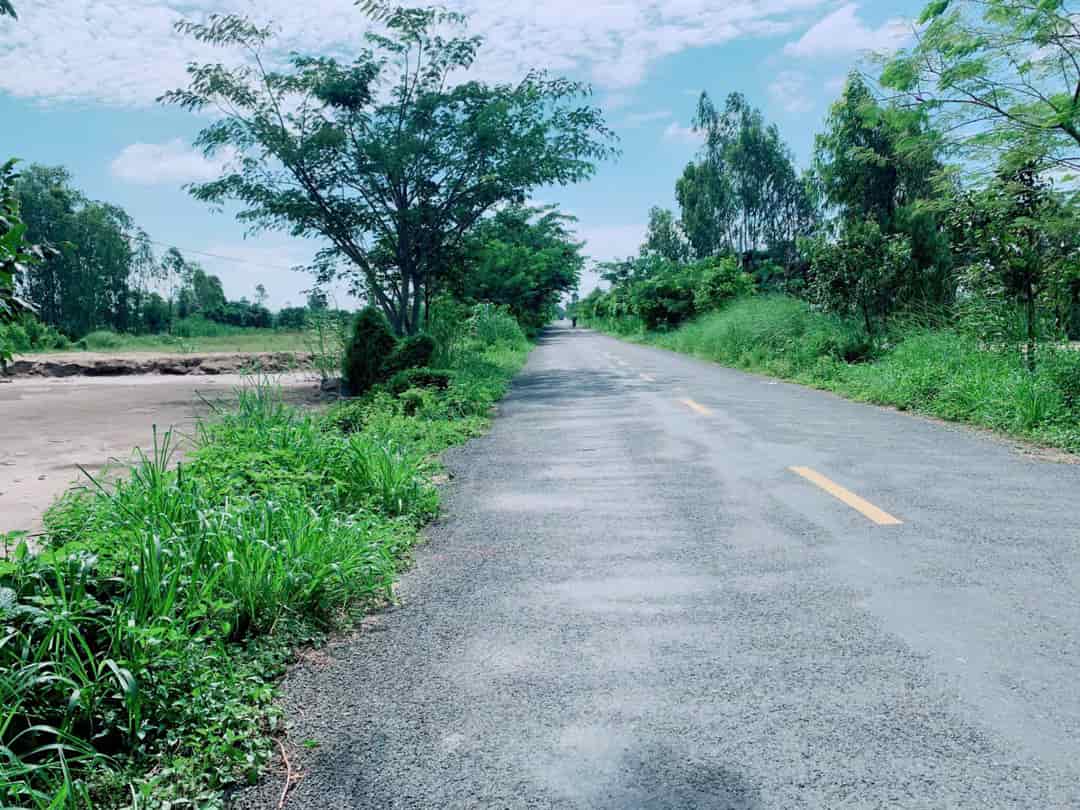Cần Nhanh Bán Lô Đất Mặt Tiền Dường Nhựa xã Tân Nghĩa, Huyện Cao Lãnh, Tỉnh Đồng Tháp