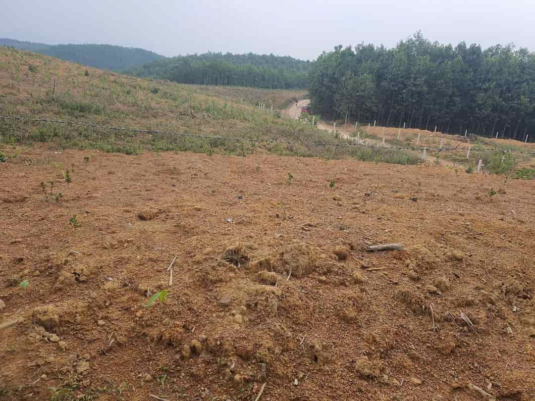ĐẤT RỪNG ĐẸP - GIÁ TỐT - Vị Trí Đắc Địa Tại Xóm Hồng, Xã Bảo Hiệu, Huyện Yên Thủy, Tỉnh Hoà Bình