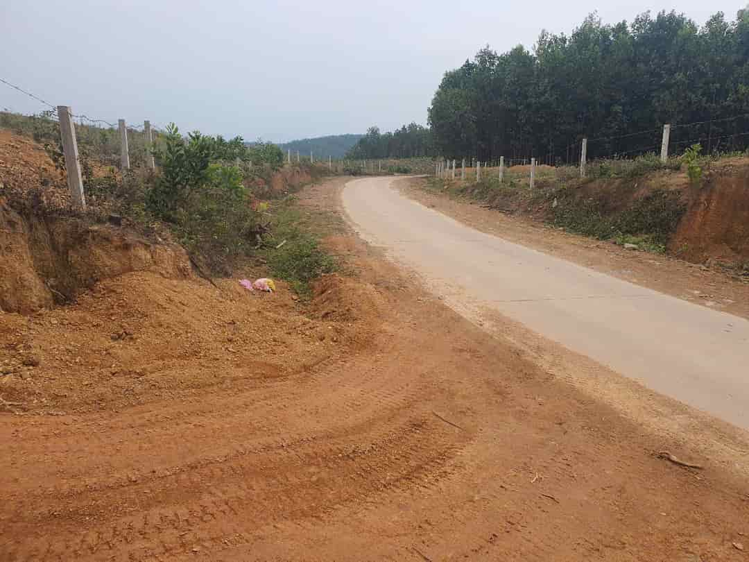 ĐẤT RỪNG ĐẸP - GIÁ TỐT - Vị Trí Đắc Địa Tại Xóm Hồng, Xã Bảo Hiệu, Huyện Yên Thủy, Tỉnh Hoà Bình