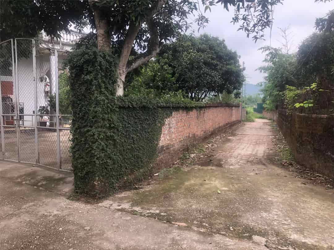 ĐẤT ĐẸP, GIÁ TỐT, Vị Trí Đắc Địa Tại Đường Phú Thịnh, Xã Minh Phú, Huyện Sóc Sơn, Thành phố Hà Nội
