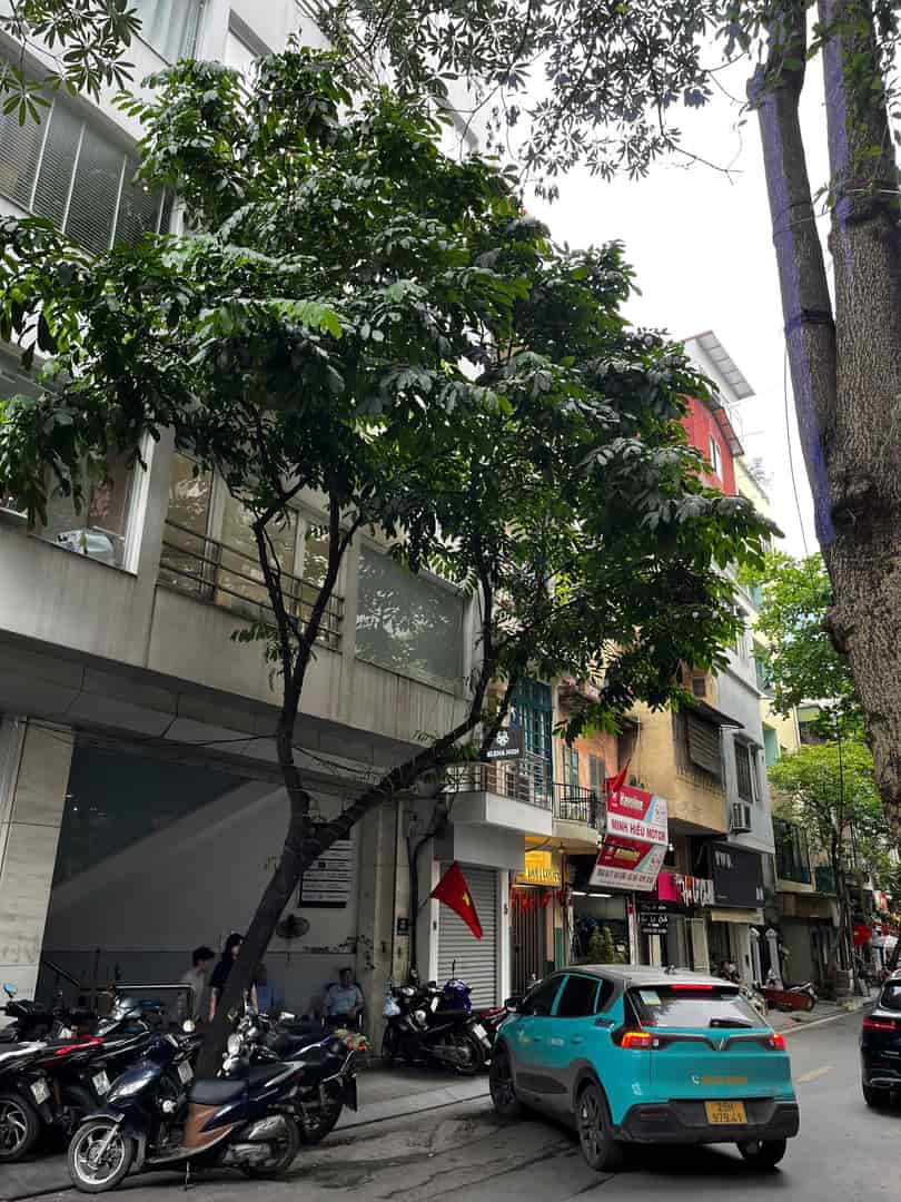 Bán nhà TT Ba Đình ô tô vào nhà nhà đẹp ở ngay 65m chỉ 18 tỷ
