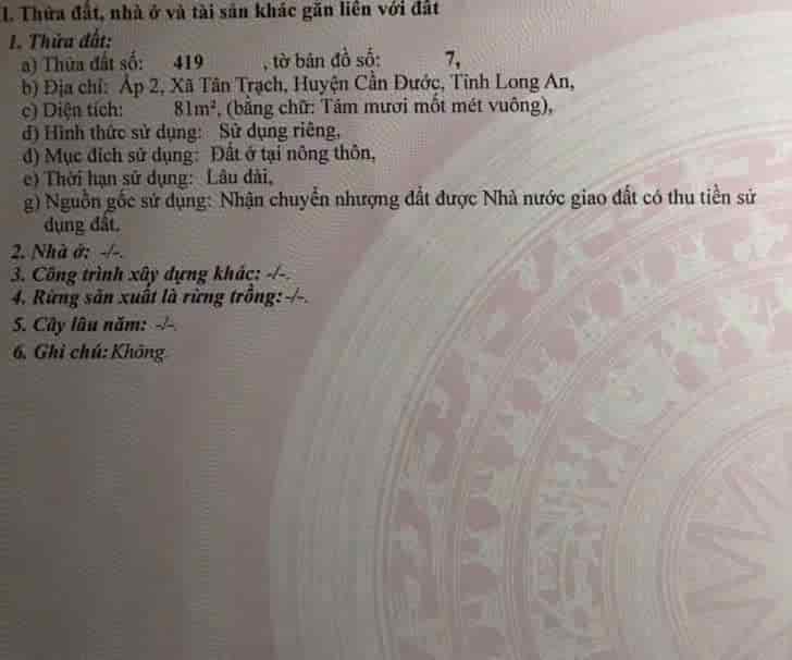 Sở hữu đất đẹp chính chủ, giá tốt, vị trí đẹp tại ấp 2 xã Tân Trạch, huyện Cần Đước tỉnh Long An