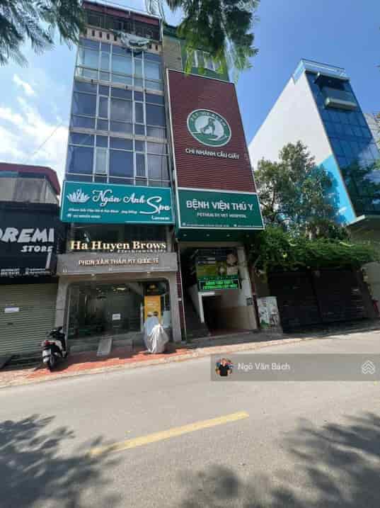 Bán gấp tòa Building mặt phố Nguyễn Khang, dòng tiền 1.8 tỷ/năm, thông sàn, vỉa hè rộng, PCCC đầy đủ, 90m2