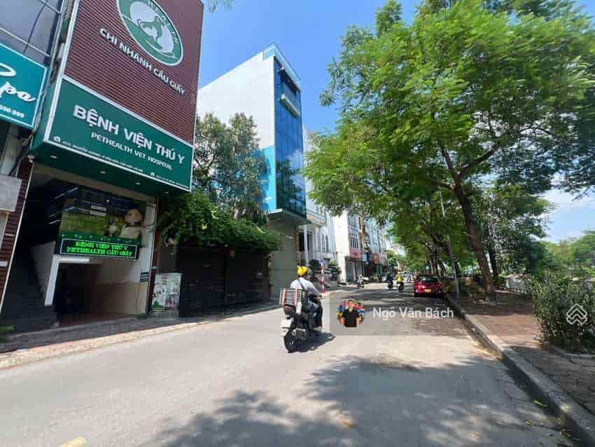 Bán gấp tòa Building mặt phố Nguyễn Khang, dòng tiền 1.8 tỷ/năm, thông sàn, vỉa hè rộng, PCCC đầy đủ, 90m2