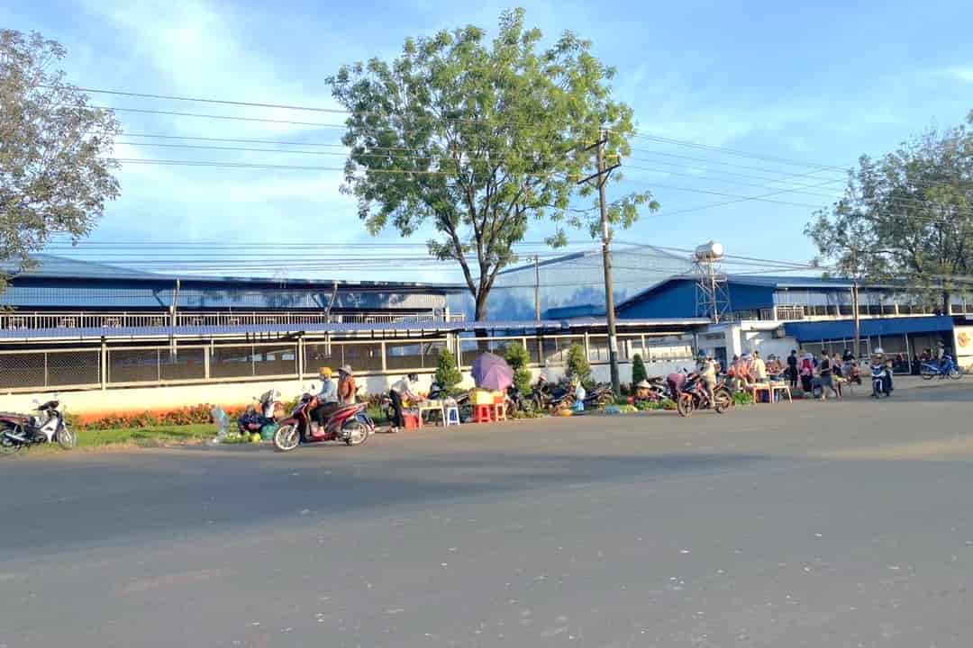 BÁN GẤP ĐẤT 2.250m², SHR, NGAY KCN CHƠN THÀNH, ĐƯỜNG XE TẢI 24M, CHỈ 890TR/SỔ