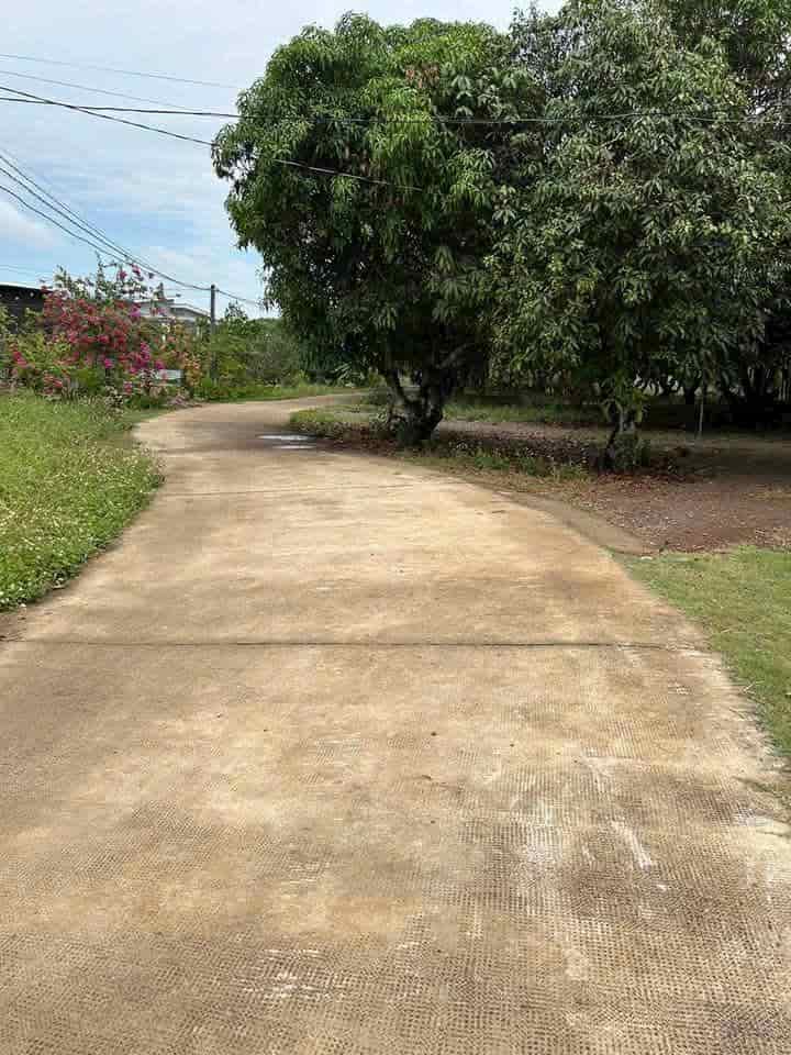 Chính Chủ Bán Lô Đất 5000m2 Tại Thống Nhất Đồng Nai