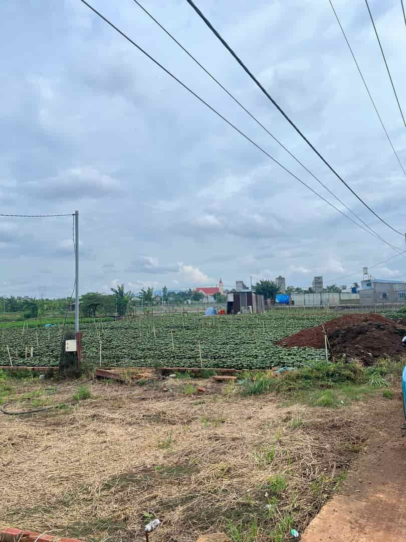 Bán nhanh lô đất tiềm năng full thổ cư 100% giá rẻ