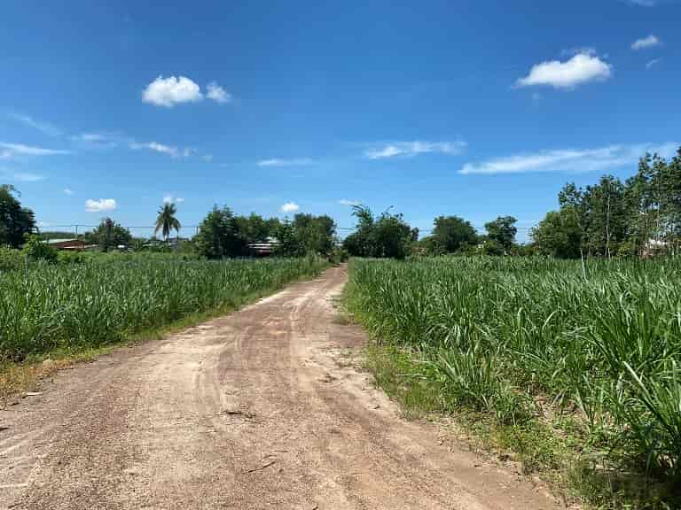BÁN ĐẤT ĐẸP MẶT TIỀN – SUỐI NGÔ, TÂY NINH – CHỈ 2.2 TỶ/HA
