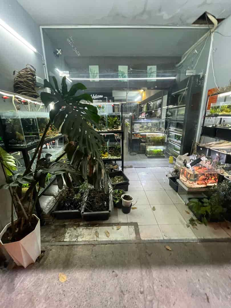 CHÍNH CHỦ CÓ VIỆC CẦN SANG GẤP LẠI QUÁN 5B Nguyễn Biểu, Phường 1,  Quận 5, TP.HCM