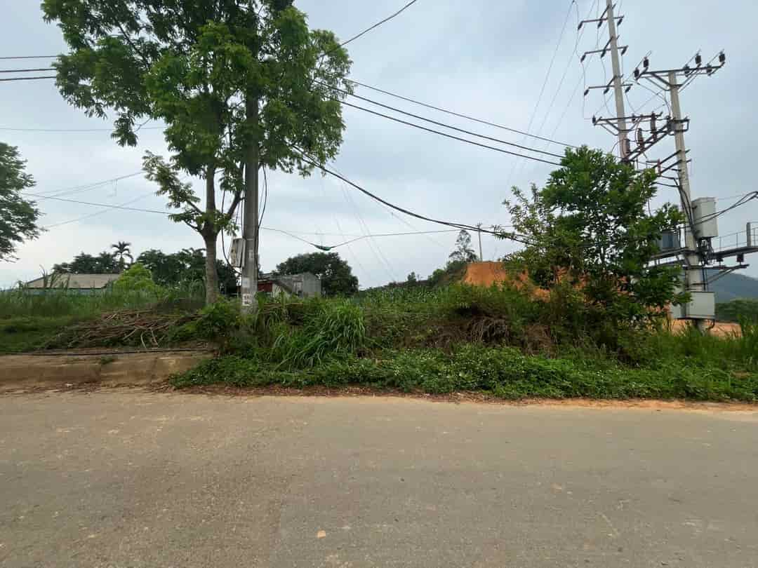CẦN BÁN ĐẤT Khu Đồng Cốc , Xã Thắng Sơn, Huyện Thanh Sơn, Phú Thọ