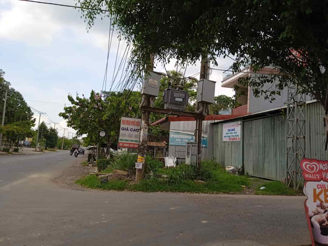 Chính chủ cần cho thuê đất Đường Tỉnh 767, Xã Vĩnh Tân-Huyện Vĩnh Cửu, Đồng Nai