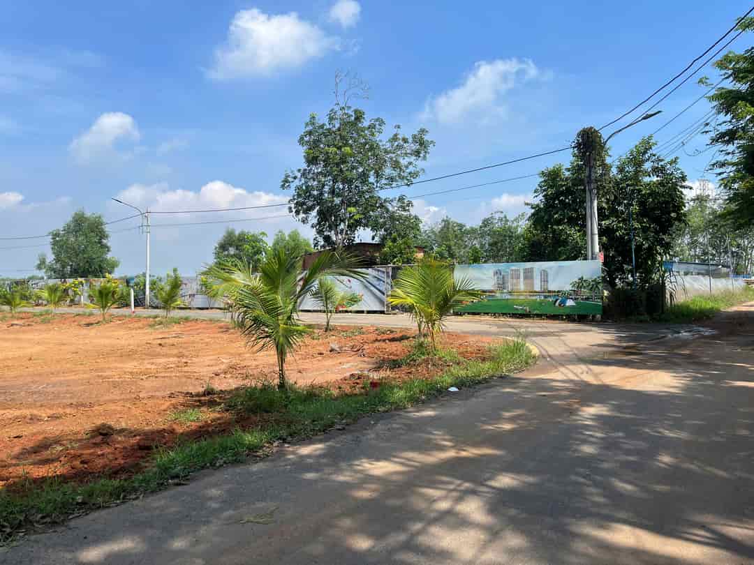 Đất Tân Định, Bến Cát, Bình Dương giá rẻ