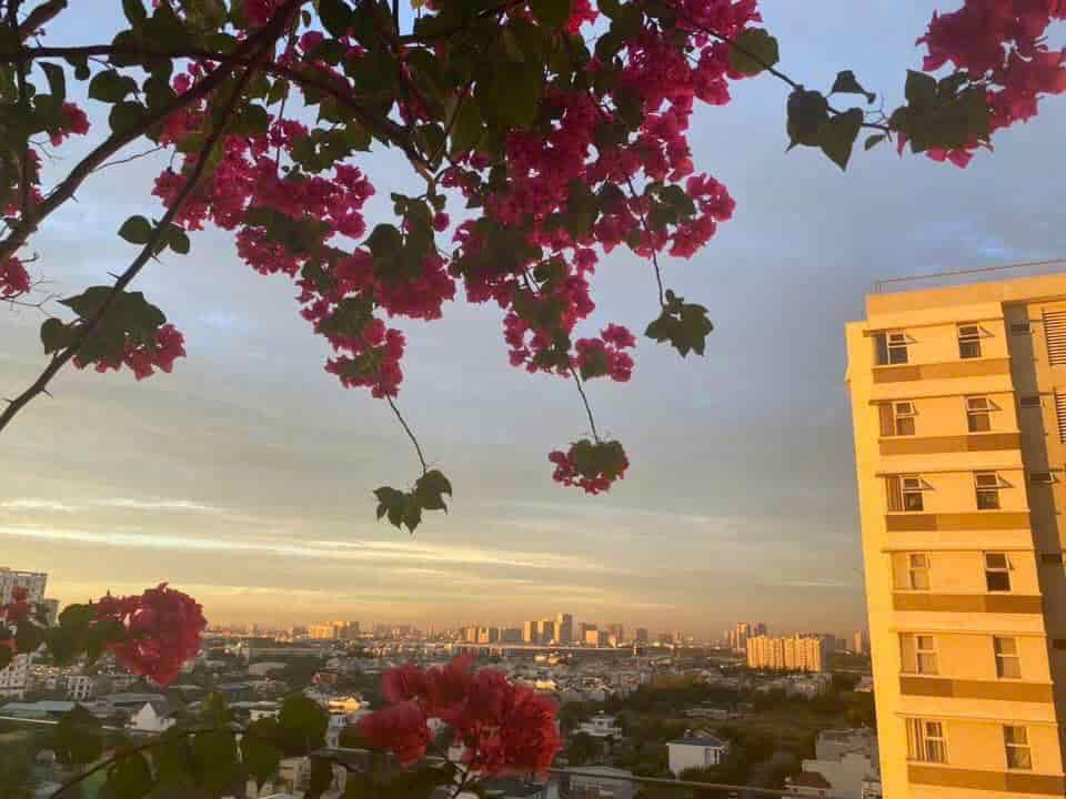 BÁN CĂN HỘ CHUNG CƯ FUJI PHƯỚC LONG B, THỦ ĐỨC FULL NỘI THẤT, VIEW 2 MẶT THOÁNG